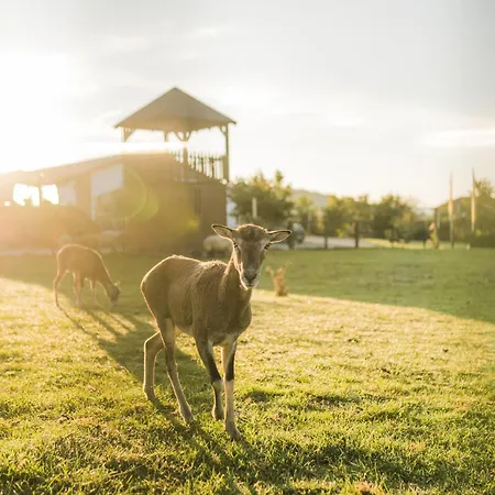 Hof Koehne - Haus Waltons 2er