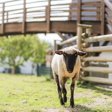 Hof Koehne - Haus Waltons 2er Schmallenberg