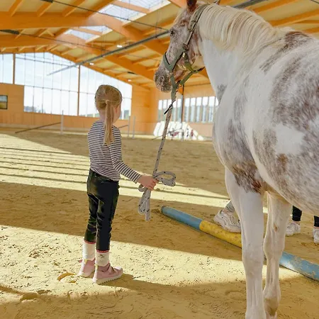 Prázdninový dům Hof Koehne - Haus Waltons 2er Schmallenberg