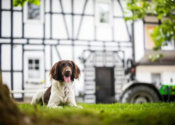 Сasa de vacaciones Hof Koehne - Haus Waltons 2er *